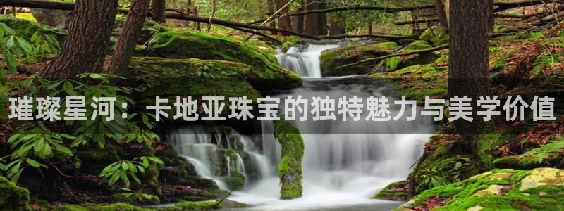 新航娱乐公司招聘信息:璀璨星河:卡地亚珠宝的独特魅力与美学价