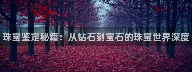 新航娱乐最新娱乐项目介绍：珠宝鉴定秘籍：从钻石到宝石的珠宝世