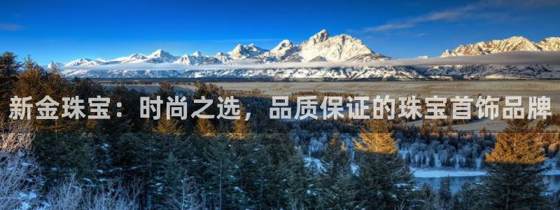 娱乐界的新航母:新金珠宝:时尚之选,品质保证的珠宝首饰品牌