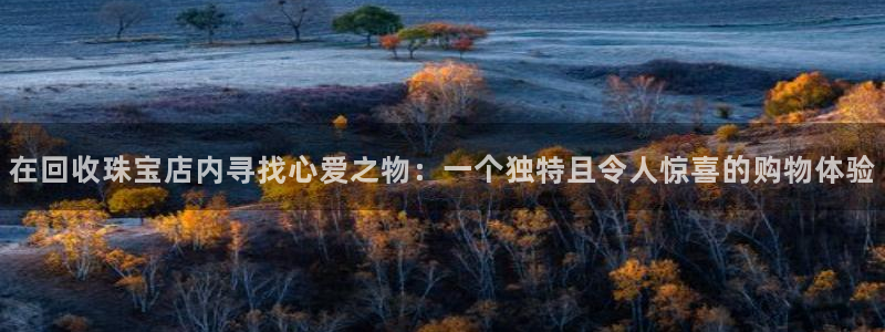 新航娱乐娱乐官方网站：在回收珠宝店内寻找心爱之物：一个独特且