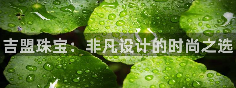 新航娱乐传媒怎么样