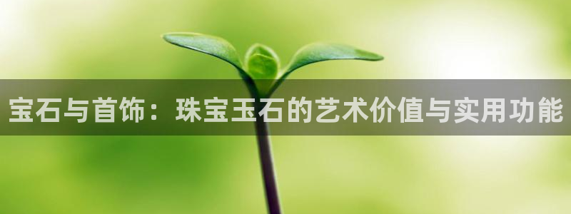 娱乐新航标:宝石与首饰:珠宝玉石的艺术价值与实用功能