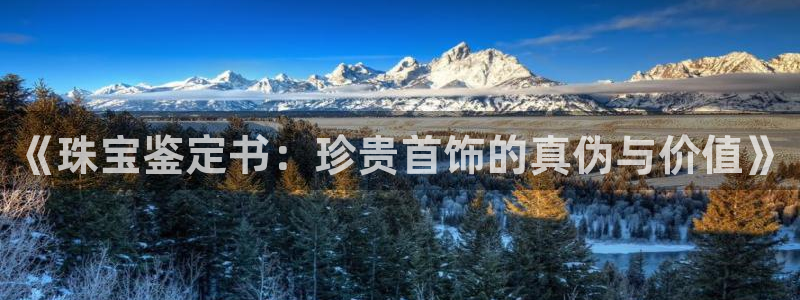 成都中创新航娱乐区:《珠宝鉴定书:珍贵首饰的真伪与价值》