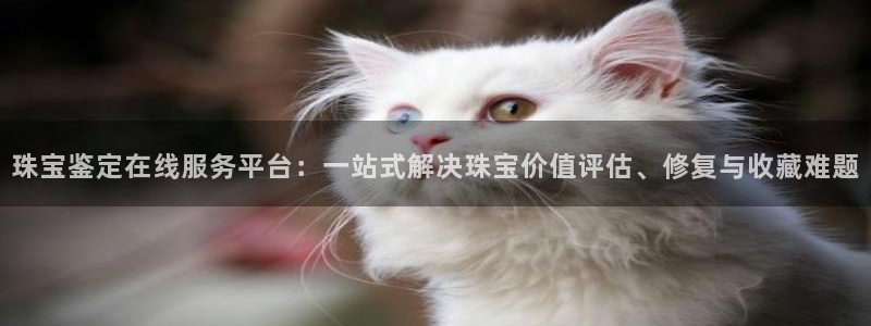 新航海大酒店娱乐城