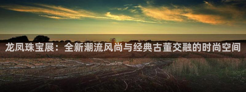 新航娱乐公司地址在哪里