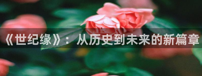 新航城娱乐传媒有限公司