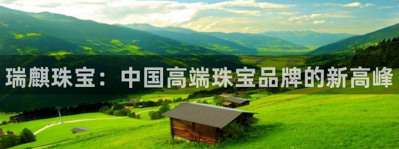 新航娱乐公司招聘电话