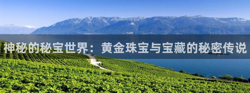 新航娱乐最新产品发布