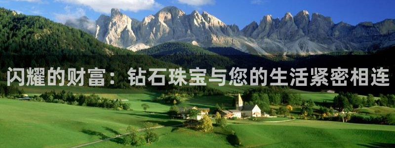 新航娱乐公司简介资料