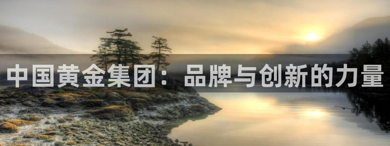 新航文化娱乐传媒招聘