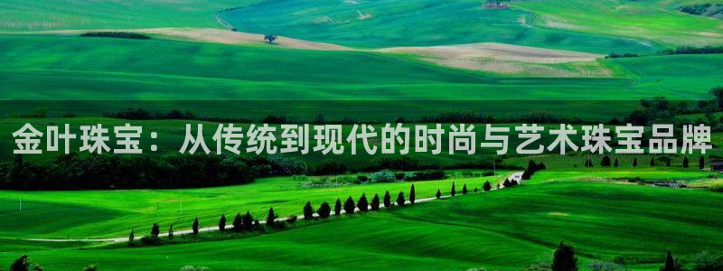 新航娱乐公司问题