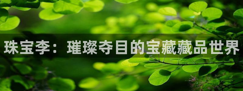 兰山新航线娱乐会所