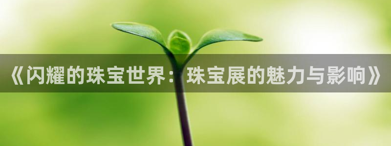 新航娱乐有限公司招聘：《闪耀的珠宝世界：珠宝展的魅力与影响》