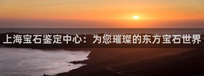 新航头等舱套房娱乐屏：上海宝石鉴定中心：为您璀璨的东方宝石世