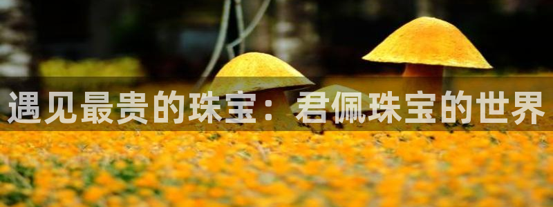 新航娱乐公司怎么样啊