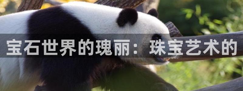 餐饮娱乐新航向：宝石世界的瑰丽：珠宝艺术的