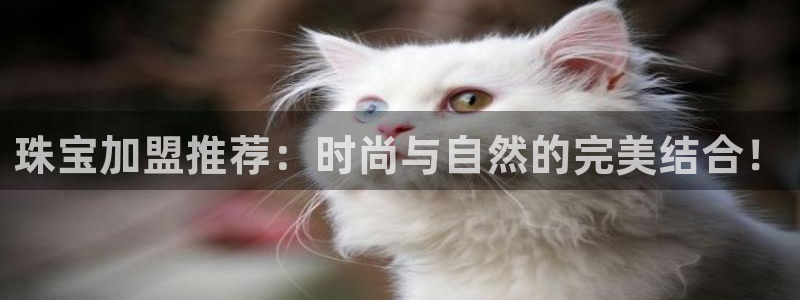 新航娱乐官网地址：珠宝加盟推荐：时尚与自然的完美结合！