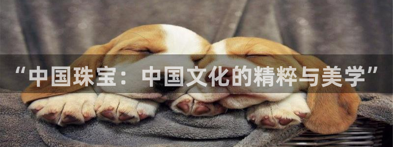 新航头等舱套房娱乐屏：“中国珠宝：中国文化的精粹与美学”