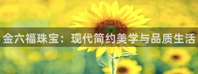 新航娱乐开户：金六福珠宝：现代简约美学与品质生活