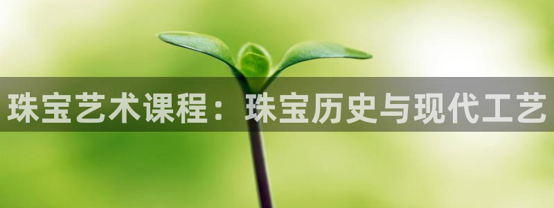 新航路开辟中的娱乐：珠宝艺术课程：珠宝历史与现代工艺