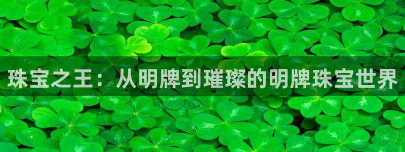 新航娱乐公司招聘电话