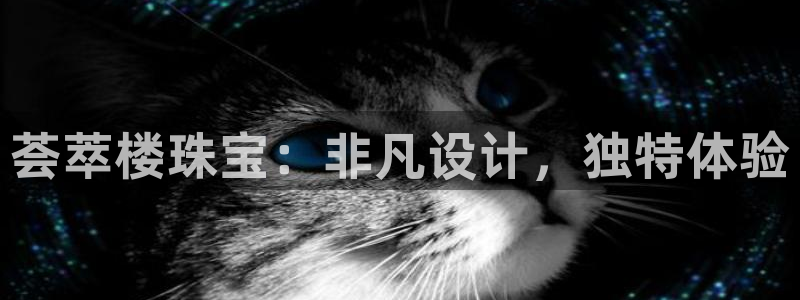 新航文化娱乐传媒怎么样