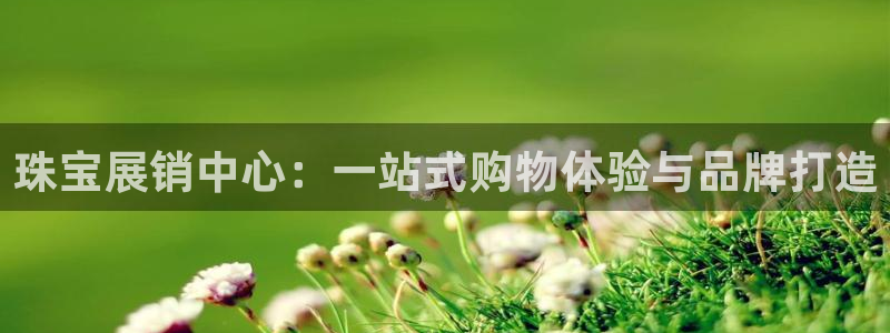 武汉中创新航娱乐室