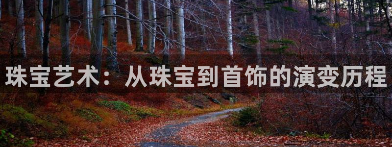 新航城娱乐传媒有限公司